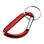Carabiner keychain