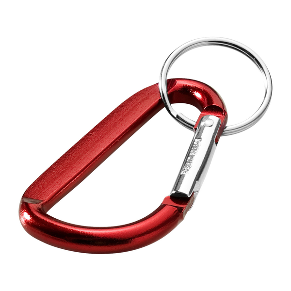 Carabiner keychain