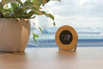 Branded Utah RCS rplastic and bamboo LCD desk clock