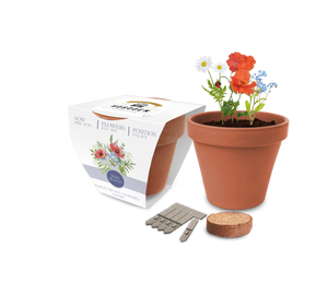 Super Express Essentials Clay Pot Gardens