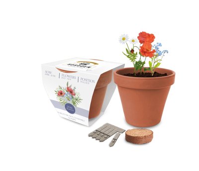 Super Express Essentials Clay Pot Gardens