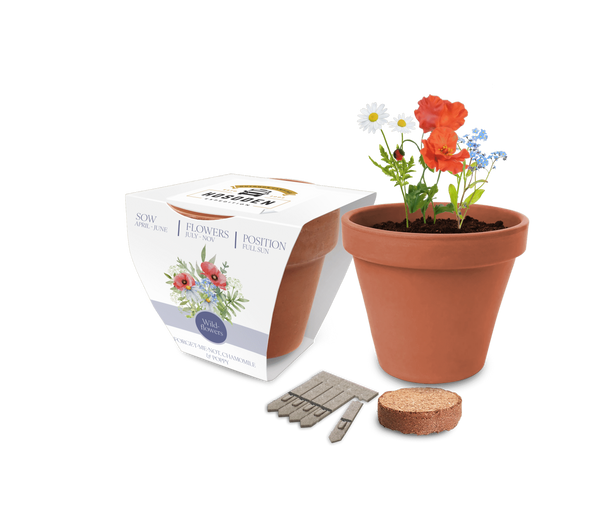 Super Express Essentials Clay Pot Gardens