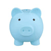 Premium Piggy Bank