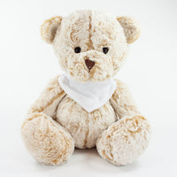 Bandanna Bear II