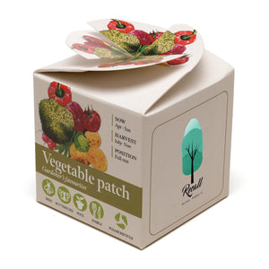 Mini Box Kit Vegetable Patch