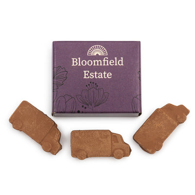 Box of 3 Van Shaped Seed Bombs