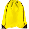 Schwartzman Drawstring backpack