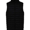 Native Spirit Light Recycled Bodywarmer