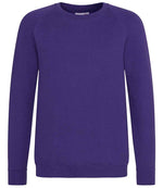 AWDis Academy Kids Raglan Sweatshirt Purple
