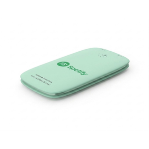 Gilt Power Bank