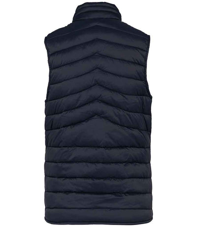 Native Spirit Ladies Light Recycled Bodywarmer