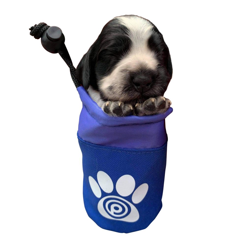 Branded Dog Treat Bag