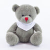 Branded Bandanna Bear