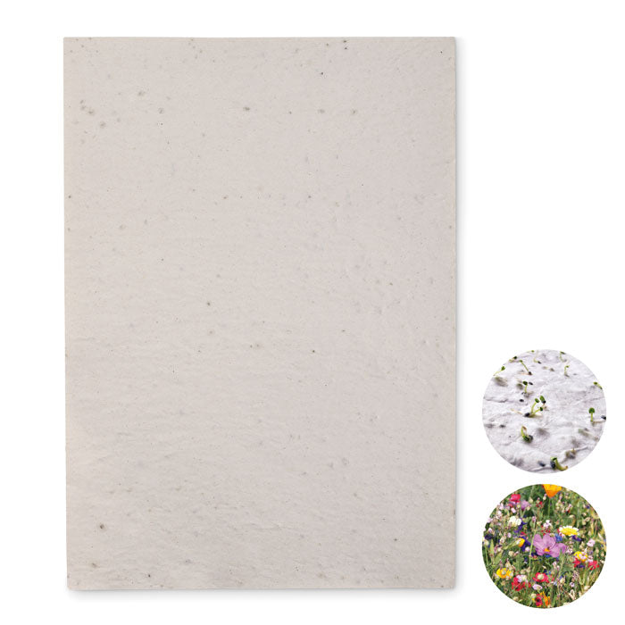 Branded A4 wildflower seed paper sheet