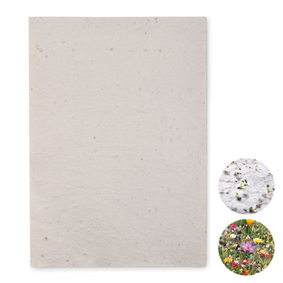 Branded A4 wildflower seed paper sheet
