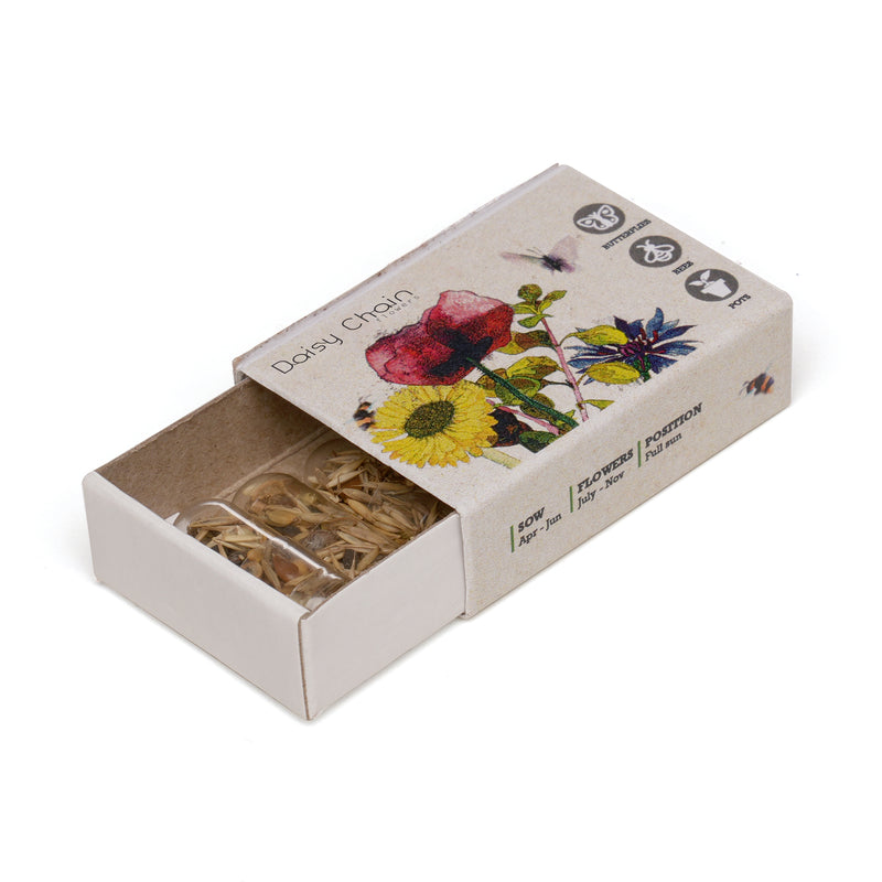 Seed Pills in Matchstick Box
