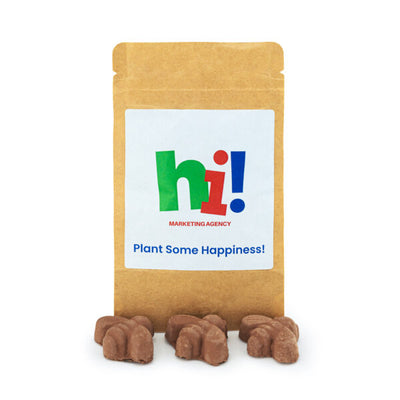 Kraft Pouch of 3 Bee-Shaped Seed Bombs