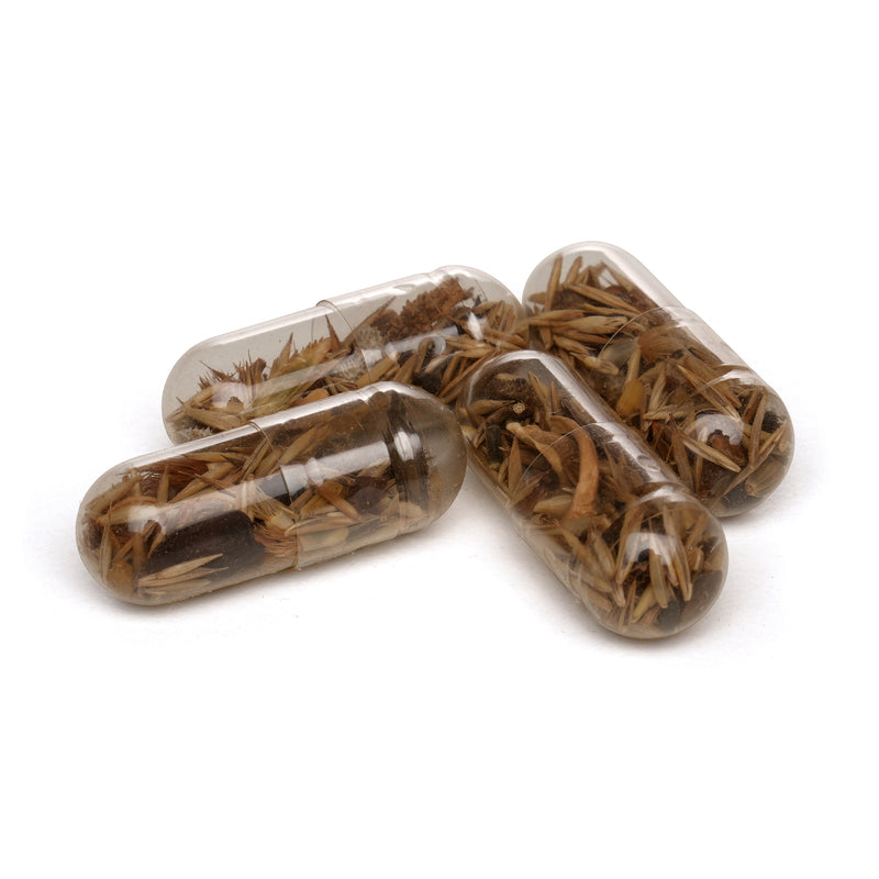 Seed Pills in Matchstick Box