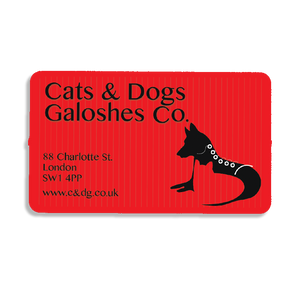 85mm x 50mm Rectangular Fridge Magnet
