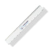 Express 30cm Plastic Ruler