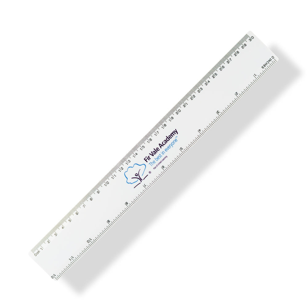 Express 30cm Plastic Ruler
