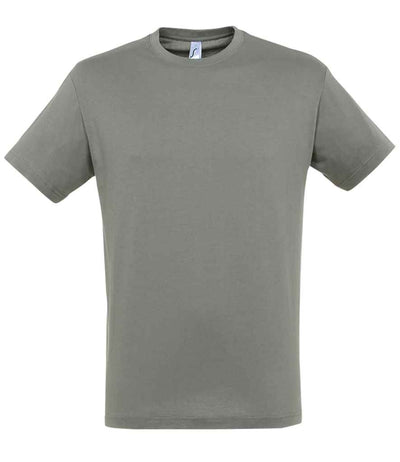 SOL'S Regent T-Shirt Zinc