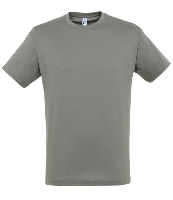 SOL'S Regent T-Shirt Zinc