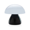 Branded Luming RCS recycled plastic USB re-chargeable table lamp