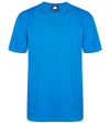 Orn Plover Premium T-Shirt Reflex Blue