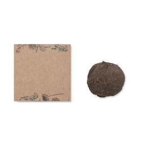 Branded Seed bomb growing kit