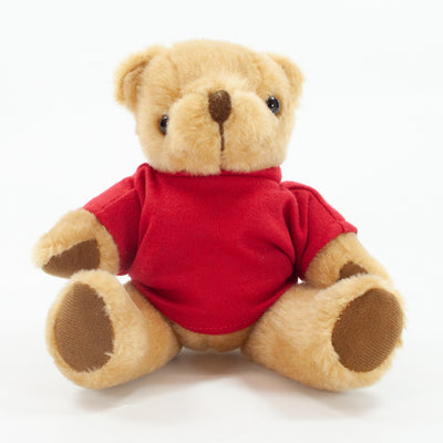 Coloured T-Shirt Bear III