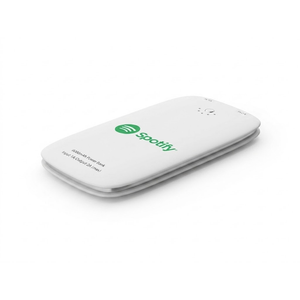 Gilt Power Bank