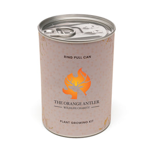 Seed Tin Can