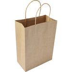 Ground Paper bag (medium)