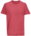 SOL'S Unisex Legend Organic T-Shirt Folk Pink