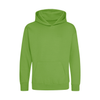 AWDis Kids Hoodie