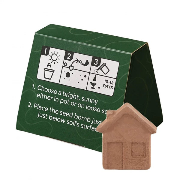 Mini Box of House Shaped Seed Bomb