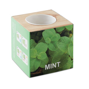 Branded Herb pot wood