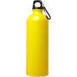 Oregon 750 ml RCS certified single wall stainless steel water bottle with carabiner