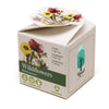 Mini Box Kit Wild Flowers Mix
