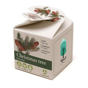 Mini Box Kit Norwegian Spruce