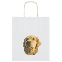 A5 Kraft Paper Bag - Twisted Handles