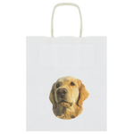 Branded A5 Kraft Paper Bag - Twisted Handles