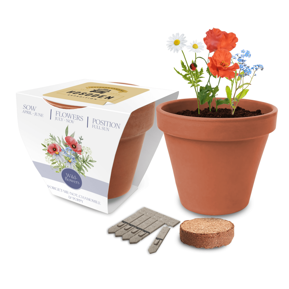 Essentials Clay Pot Gardens