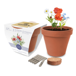 Essentials Clay Pot Gardens