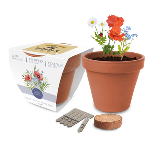 Essentials Clay Pot Gardens