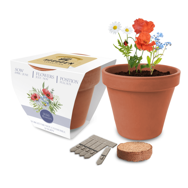 Essentials Clay Pot Gardens