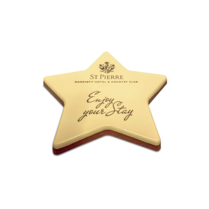 Logo Chocolate Star