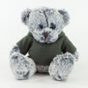 Coloured Hoodie Bear