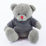 Coloured Hoodie Bear